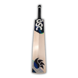DSC BLAK 3000 CRICKET BAT 1 NEW 2025 MODEL